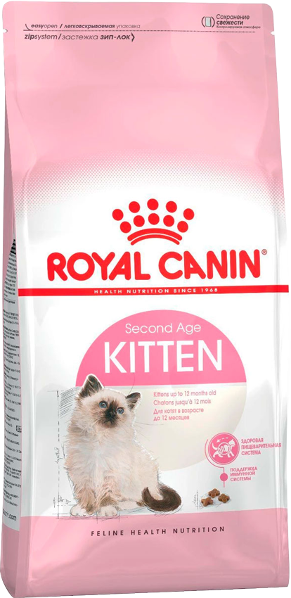rc kitten